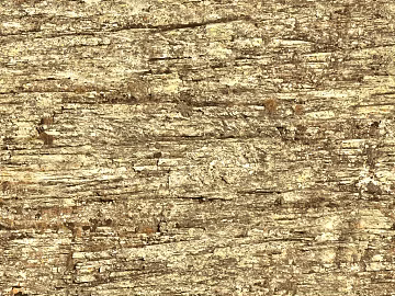 mountain rock wall texture (ID:ffagg74830)