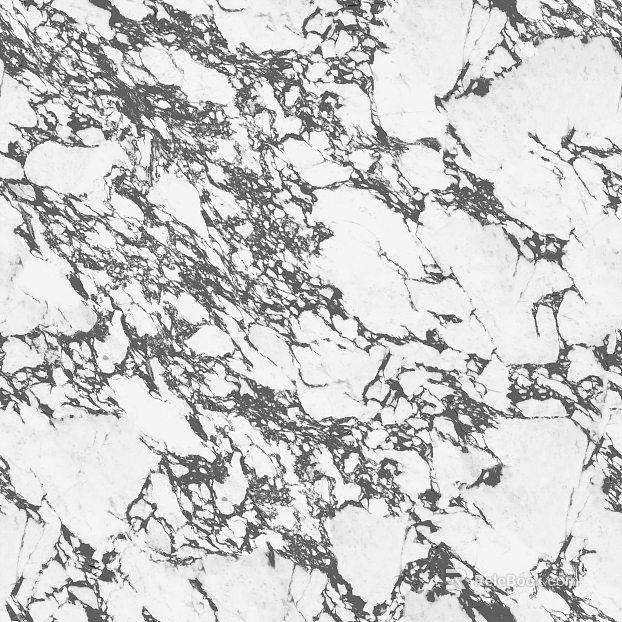 White and black mesh pattern marble wall surface texture