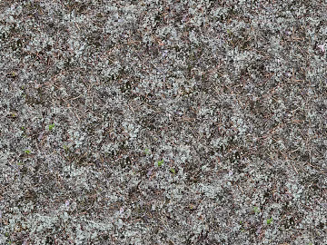 Ground texture (ID:ffagg10480)