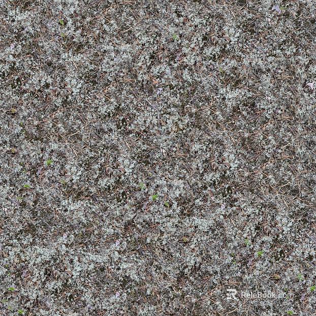 Ground texture