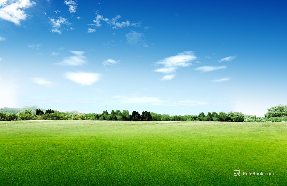 Wild Scenery texture
