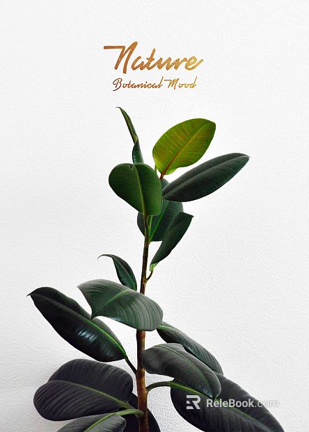 Plant painting texture