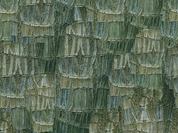 bark texture (ID:ffacg54078)