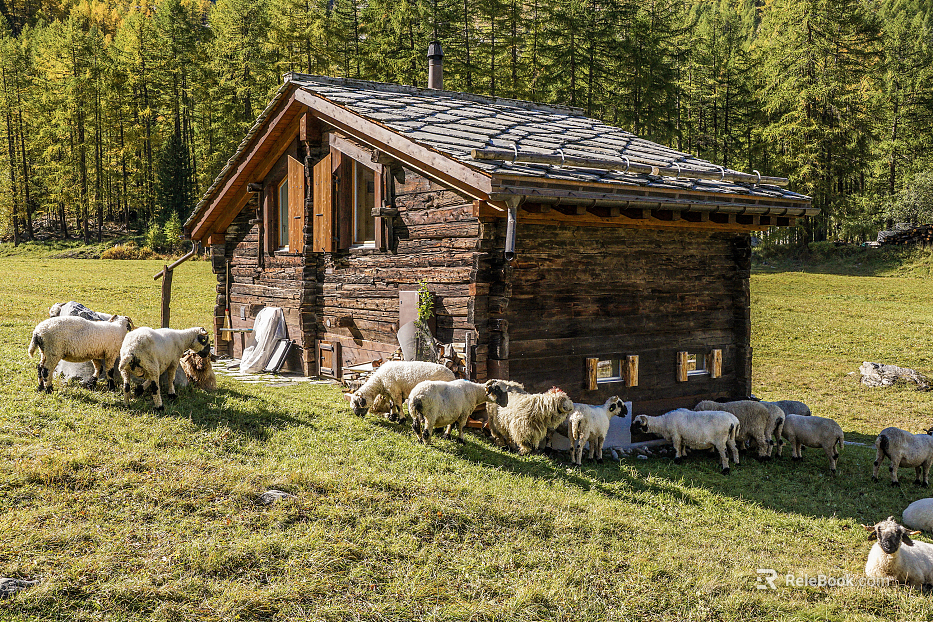 Nature Exterior Country Exterior texture