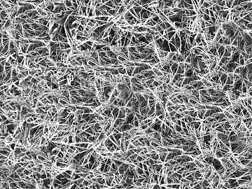 Black and White Bump texture (ID:ffagg44217)