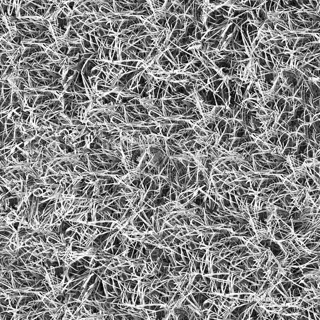 Black and White Bump texture