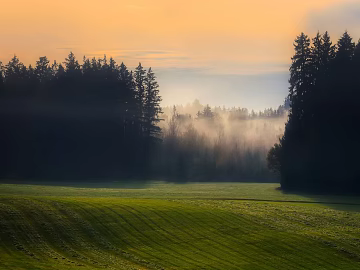 Wild Scenery texture (ID:ffaeg62928)