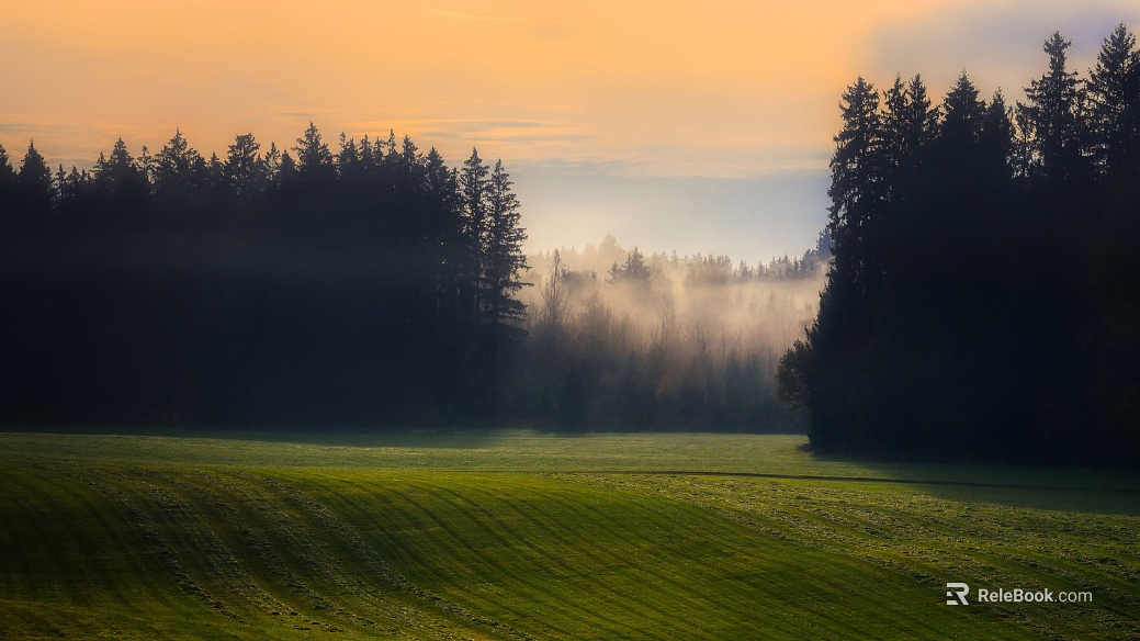 Wild Scenery texture