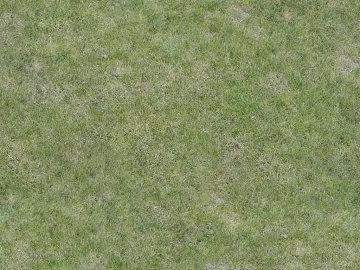 Turf texture (ID:ffach547016)