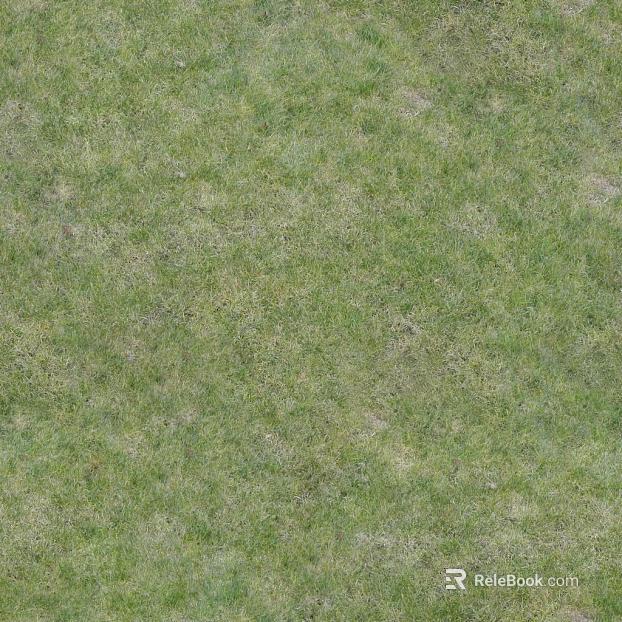 Turf texture