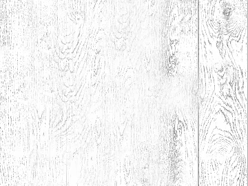 Black and white wood grain texture (ID:ffagg66516)