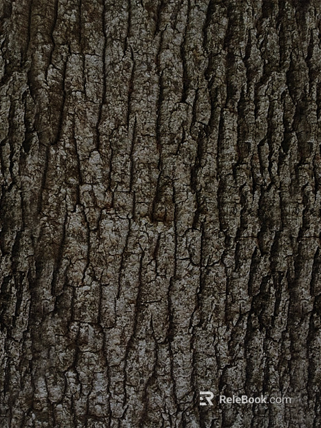 bark texture