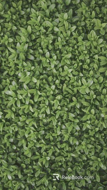 Plants texture