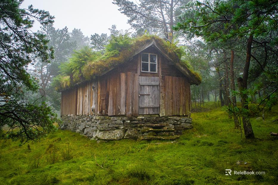 Window Exterior Outdoor Landscape Nature Exterior Rural Exterior Exterior Exterior texture