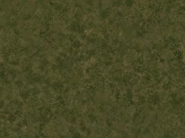 Turf texture (ID:ffajg34466)
