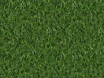 Turf texture (ID:ffagg83917)