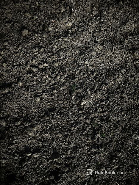 Cave Stone Black Cave Stone texture