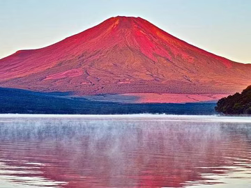 Wild Scenery texture (ID:ffaaf8456)