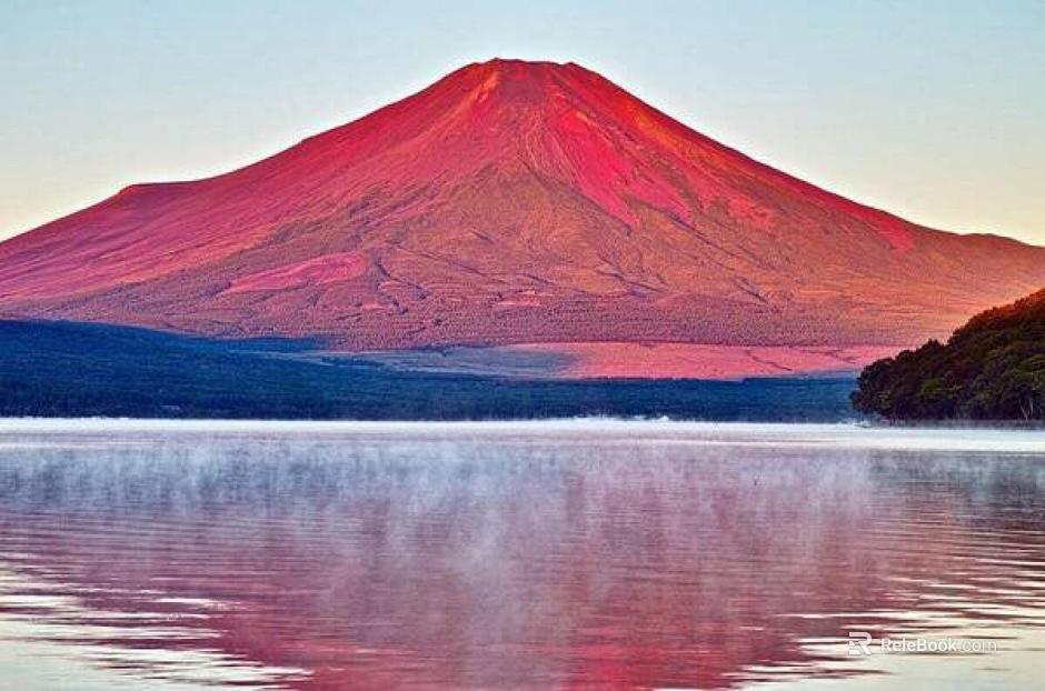 Wild Scenery texture