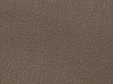 fine grain leather 3d model