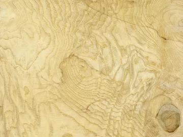 White Thrombus Tumor Bright Light texture (ID:ffach644655)