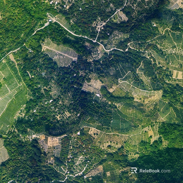 Green Mountain Forest Farmland Outdoor Aerial Photography texture