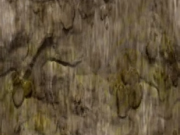 bark texture (ID:ffaeg31347)