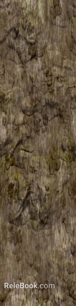 bark texture
