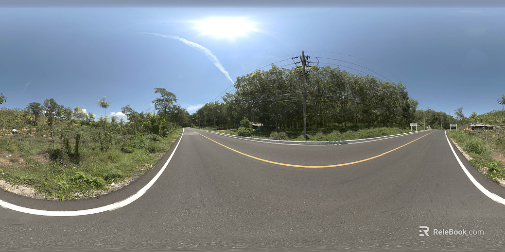 outdoor roadside forest landscape daytime hdr texture