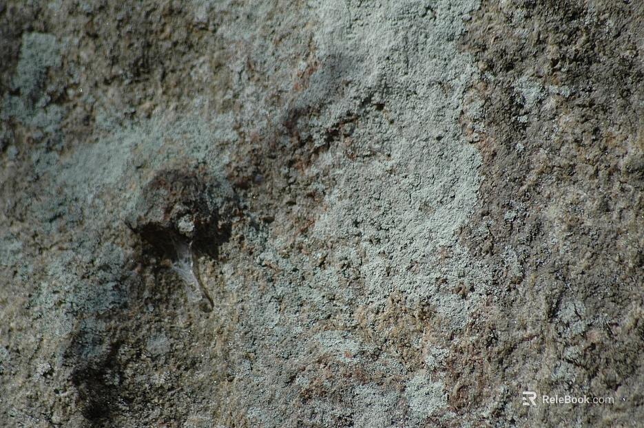 Concrete texture