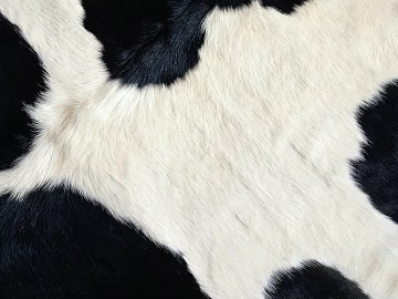 Animal Blanket 3d model