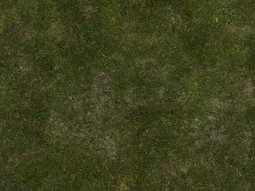 Turf texture (ID:ffach682735)