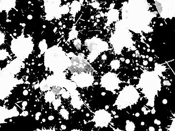 Black and White Splash texture (ID:ffach270561)