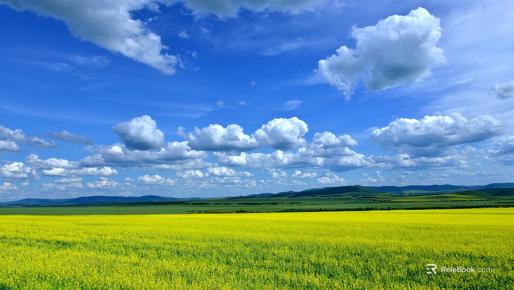 Pastoral scenery texture