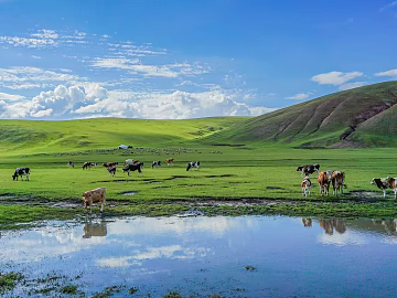 Beautiful prairie texture (ID:ffach794980)