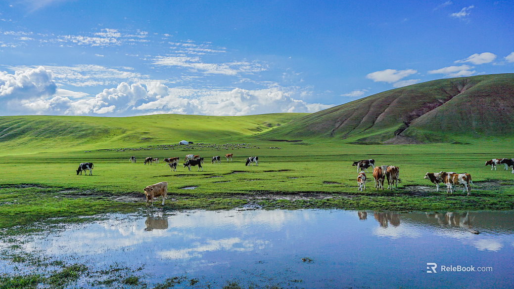 Beautiful prairie texture