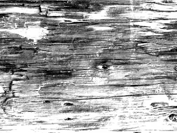 Black and White Bump texture (ID:ffagg85996)
