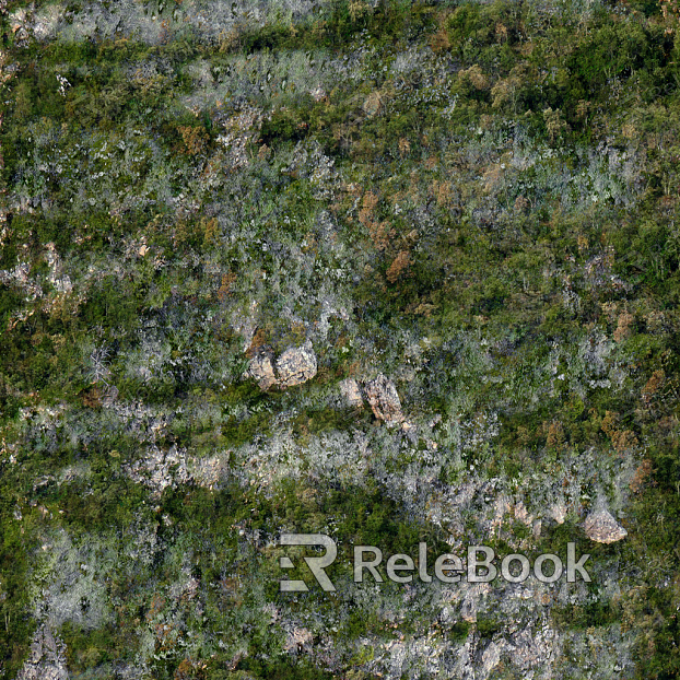 Dense, lush green moss carpet covering the surface of a large rock, thriving in a moist, shaded environment, possibly in a forest or garden setting.