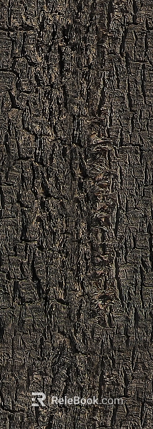 bark texture