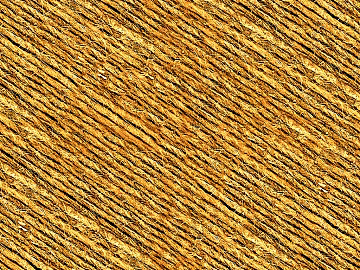 Cloth 3d model