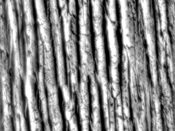 Black and White Bump texture (ID:ffaag09781)