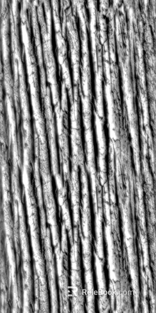Black and White Bump texture