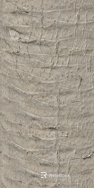bark texture