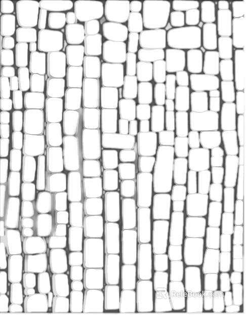 Brick wall texture