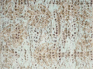 Light gray blue ink marble background wall texture (ID:ffaeh086229)