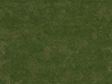 Turf texture (ID:ffajg84613)