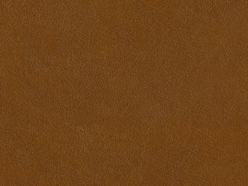 fine grain leather texture (ID:ffagg16051)
