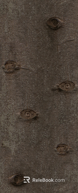 bark texture