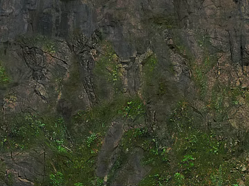 Rocks, rocks, greenery texture (ID:ffajg02798)