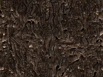 bark texture (ID:ffach143686)